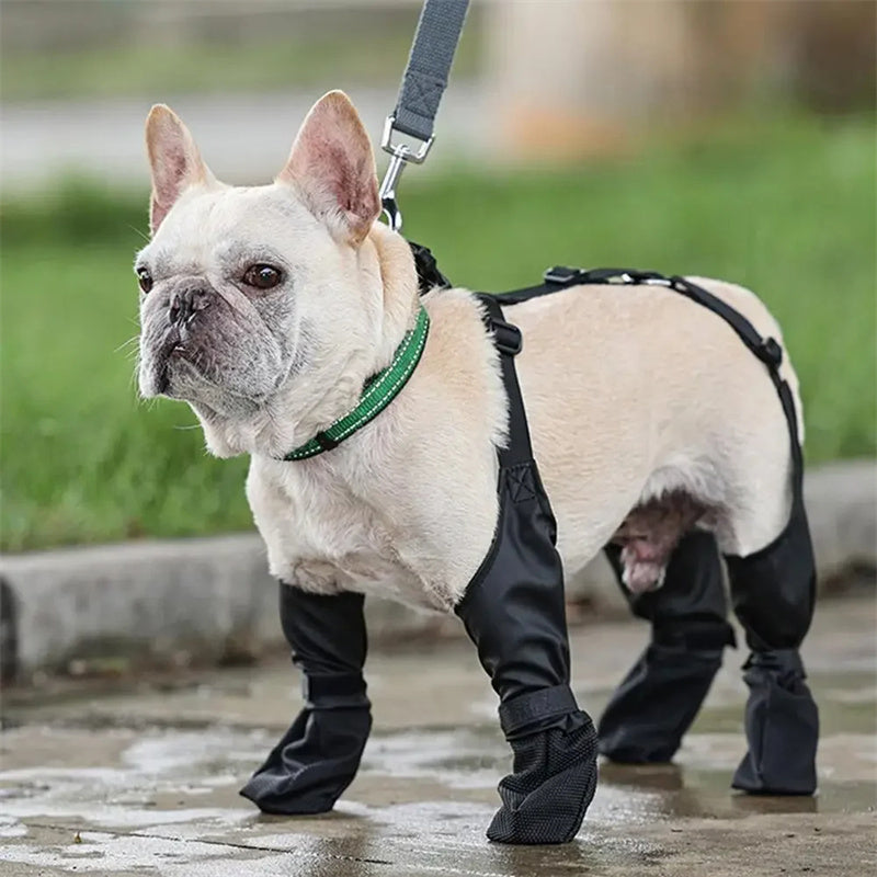 Dog Boots For Outdoor Walking